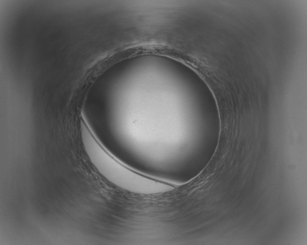 X0000073531398200607311003