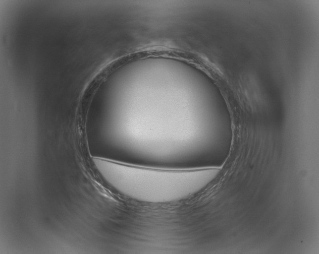 X0000073531400200607311003