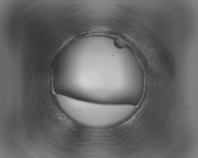 X0000073531401200607311003