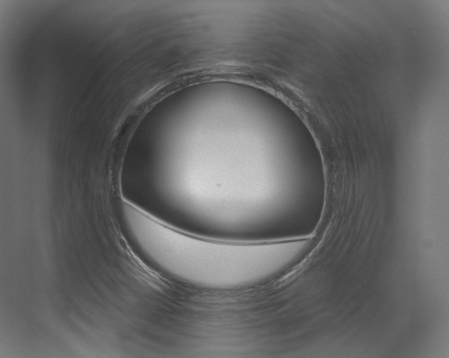 X0000073531402200607311003