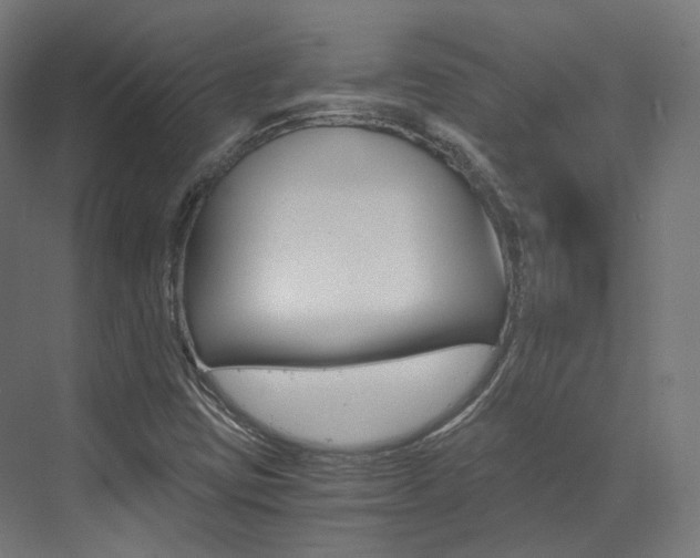 X0000073531403200607311003