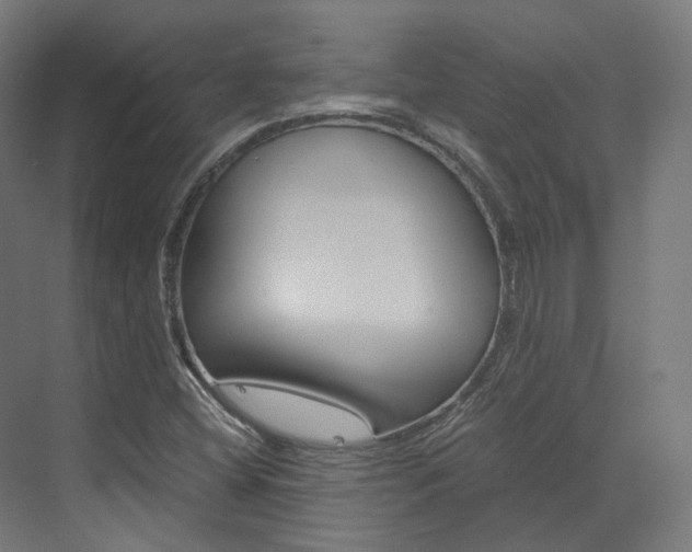 X0000073531404200607311003