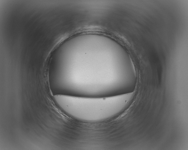 X0000073531405200607311003