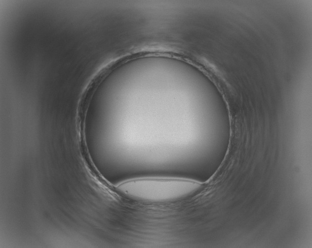 X0000073531408200607311003