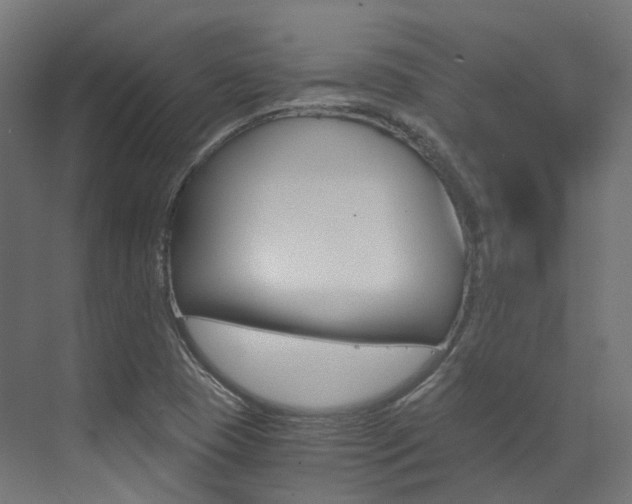 X0000073531409200607311003
