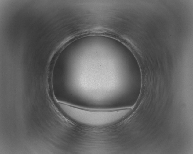 X0000073531410200607311003