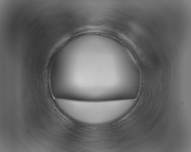 X0000073531411200607311003