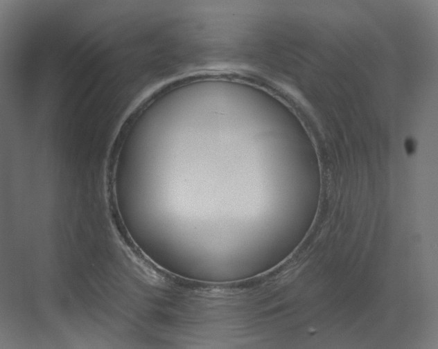 X0000073531412200607311003
