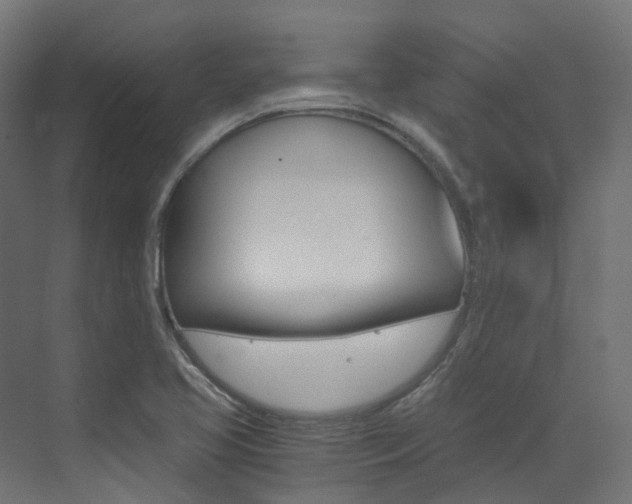 X0000073531413200607311004
