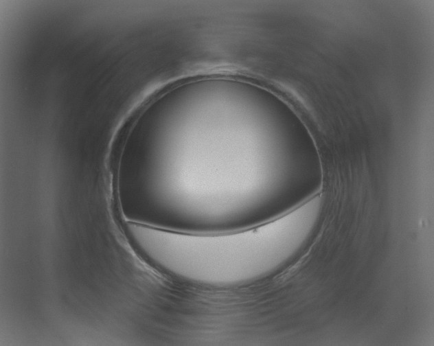 X0000073531414200607311004