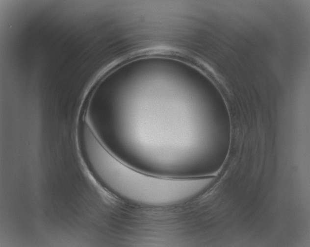 X0000073531418200607311004