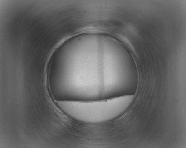 X0000073531419200607311004