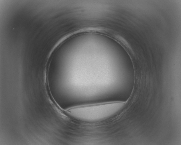 X0000073531420200607311004