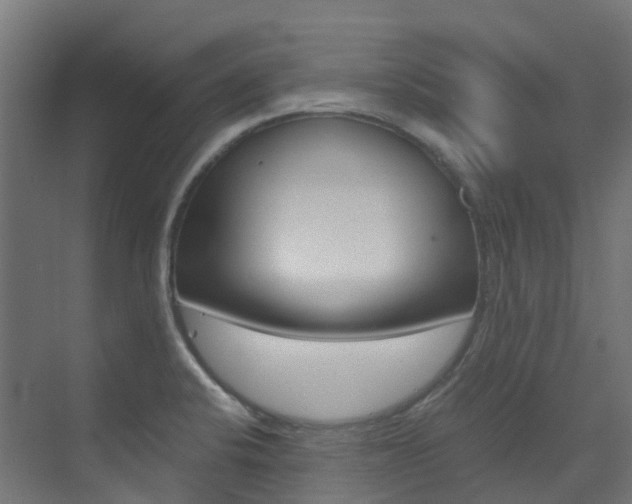 X0000073531424200607311004