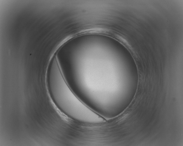 X0000073531426200607311004