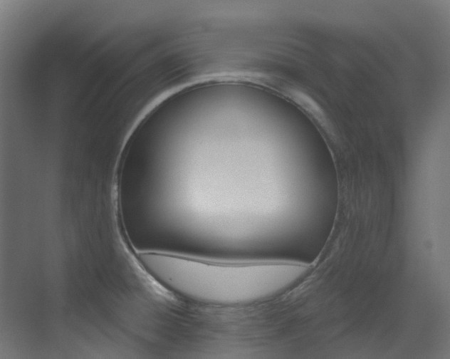 X0000073531428200607311004