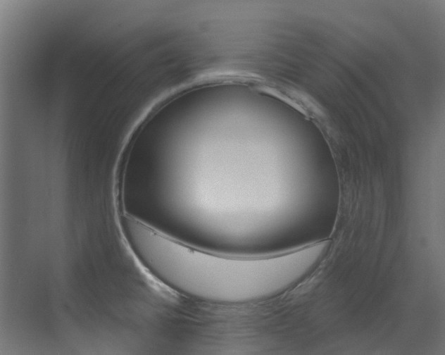 X0000073531430200607311004