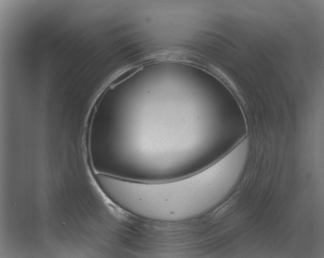 X0000073531434200607311004