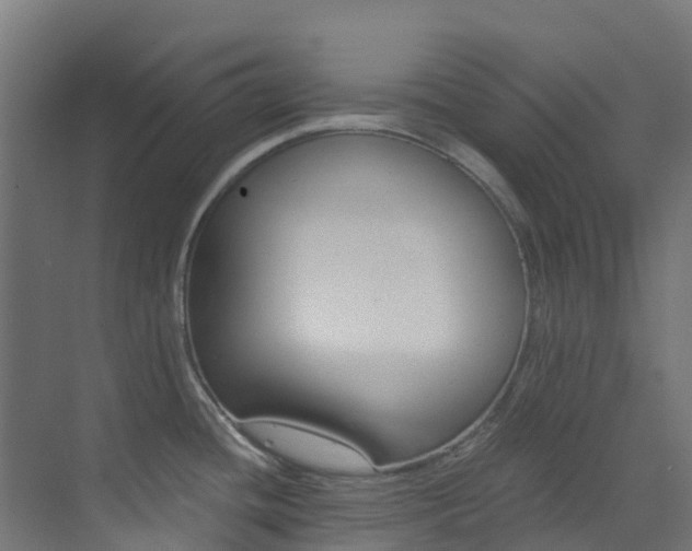 X0000073531436200607311004