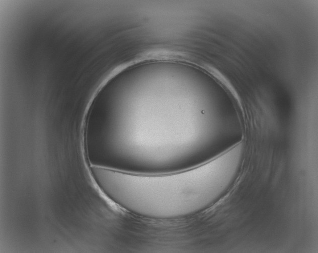 X0000073531437200607311004