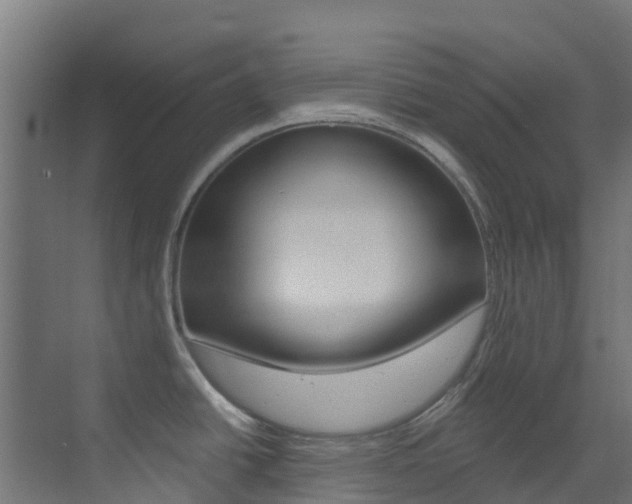X0000073531438200607311004