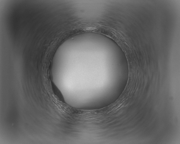 X0000073531441200607311003