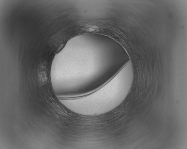 X0000073531442200607311003