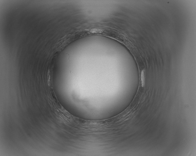 X0000073531443200607311003