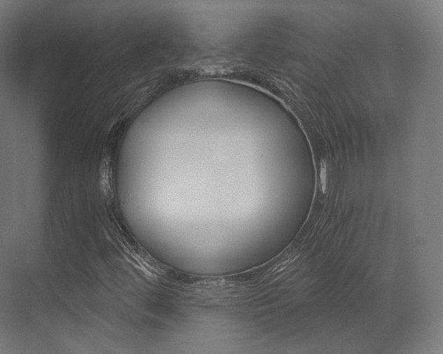 X0000073531444200607311003