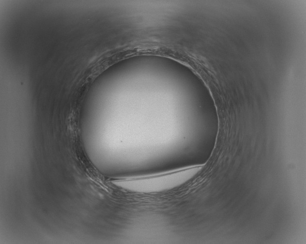 X0000073531445200607311003