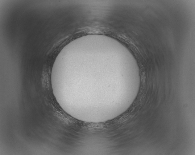 X0000073531446200607311003