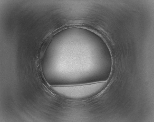X0000073531449200607311003