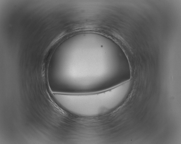 X0000073531450200607311003