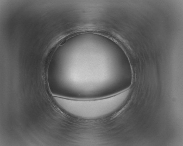 X0000073531453200607311003