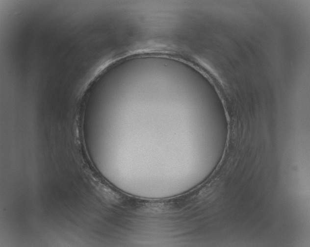 X0000073531455200607311003