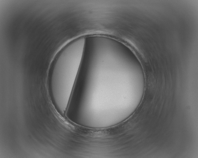 X0000073531460200607311003