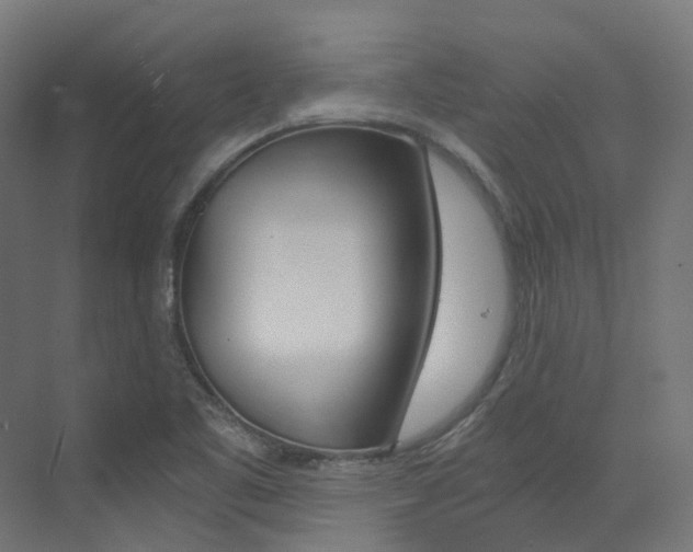 X0000073531461200607311003