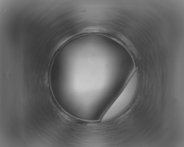 X0000073531465200607311003