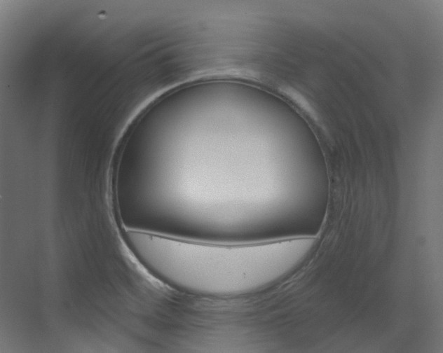 X0000073531468200607311003