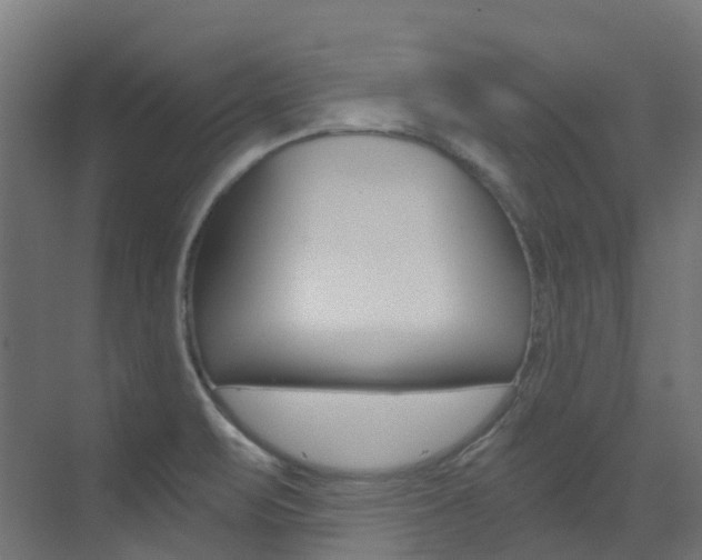 X0000073531471200607311003
