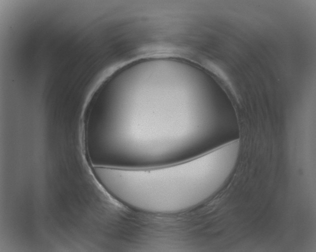 X0000073531472200607311003