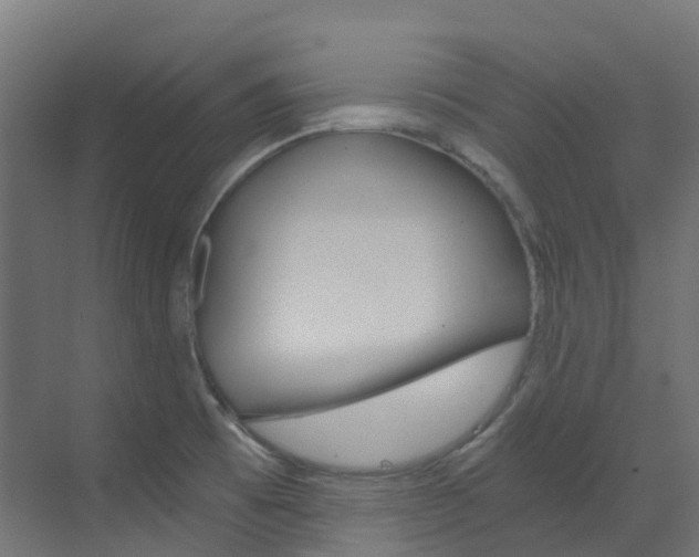 X0000073531473200607311003