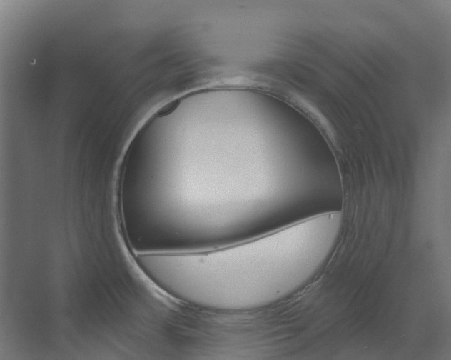 X0000073531483200607311002