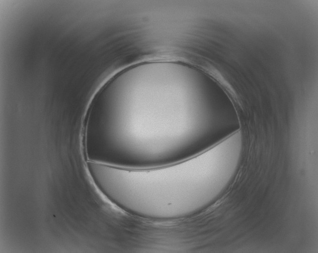 X0000073531484200607311002