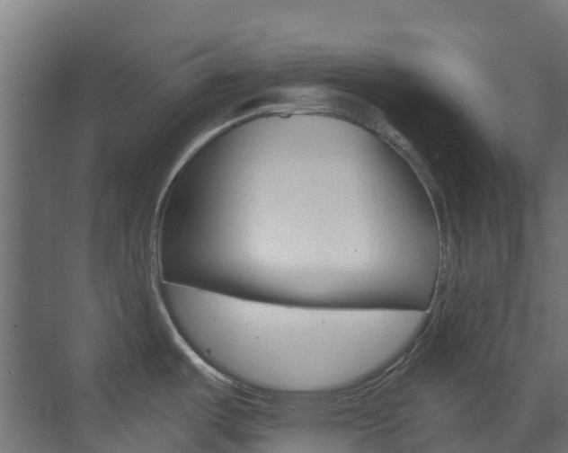 X0000073531487200607311002