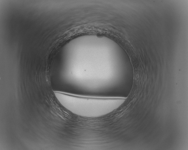 X0000073531490200607311002