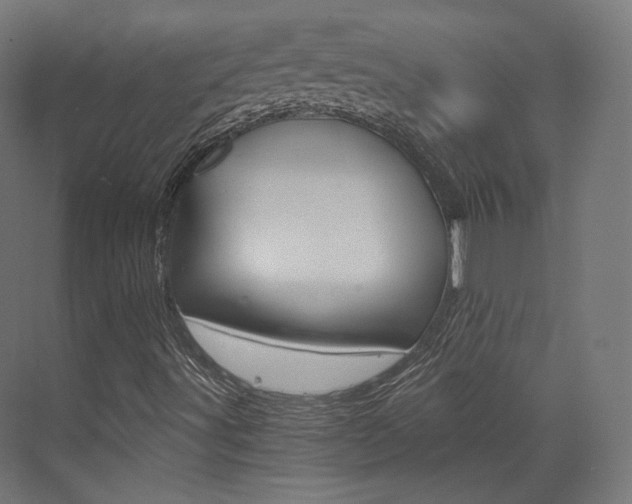 X0000073531491200607311002