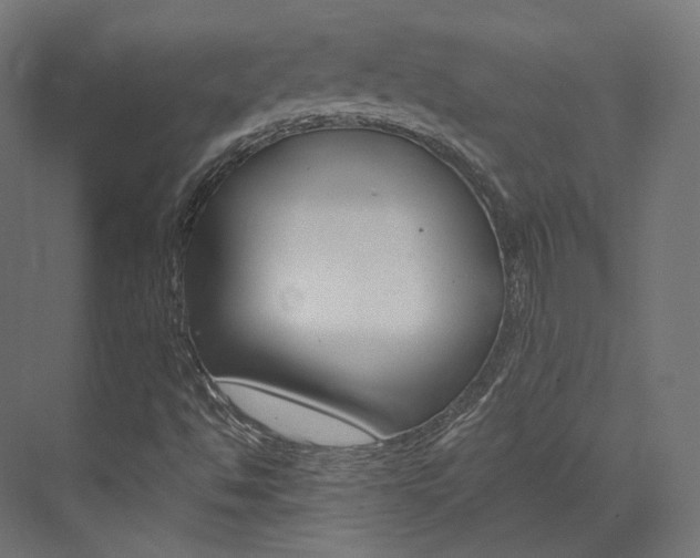 X0000073531494200607311002