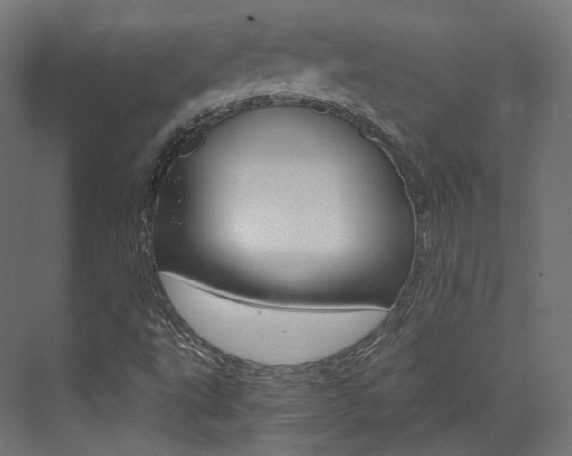 X0000073531495200607311002