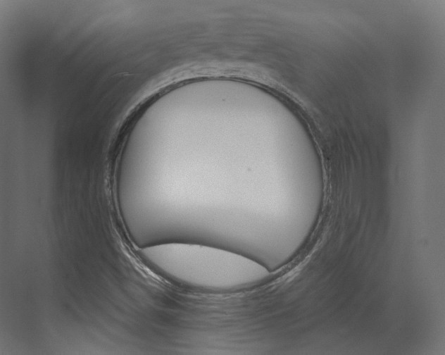 X0000073531498200607311002